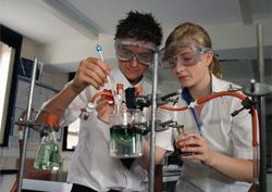 Students engaging in a practical experiment
