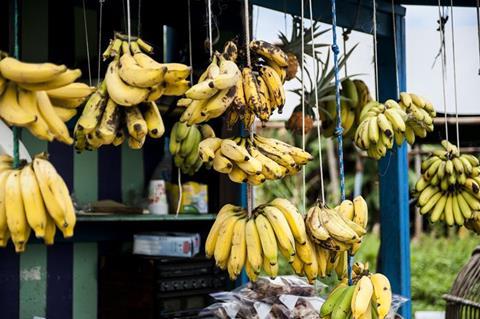 Bananas hanging on string in a shop