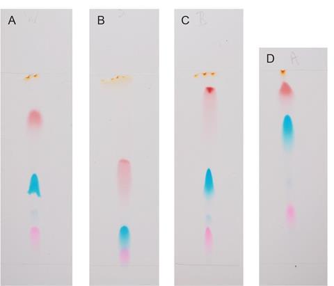 TLC chromatogram of ink showing the effect of changing only the mobile phase (the eluting solvent): a) H<sub>2</sub>O, b) NaCl (aq) (~2% w/v) c) NaHCO<sub>3</sub> (aq) (~2% w/v) d) Ethanol (aq) (~2% v/v)