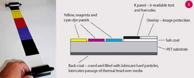 image - feature - mcalpine - fig 1