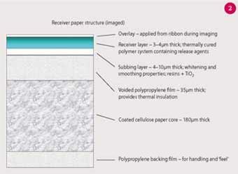 image - feature - mcalpine - fig 2