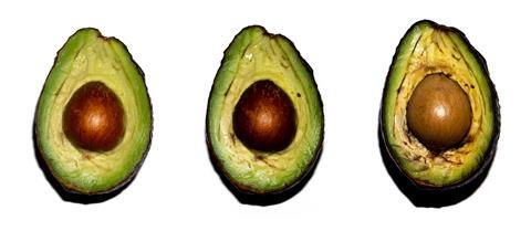 An image showing an avocado browning