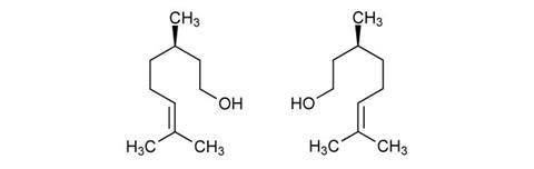 0416EiCMagMolCitronellolstrukturer630m