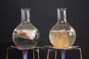 image - Exhibition chemistry - main 1