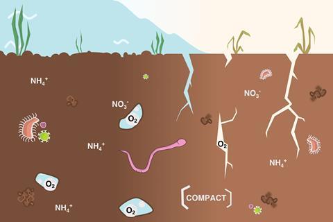 An image showing ammonium ions, nitrate ions and oxygen embedded within the soil.