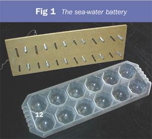 Figure 1 - the sea-water battery