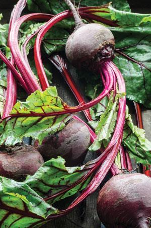 Beetroot