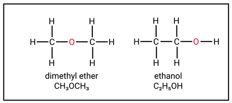 The molecular structure diagrams for dimethyl ether and ethanol showing that they both contain three carbons, size hydrogens and one oxygen atoms