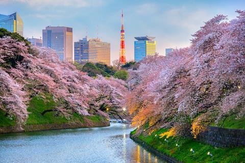 Chidorigafuchi park in Tokyo