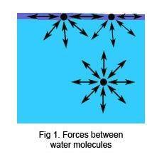 A diagram of the forces between water molecules at the surface and centre of a liquid.