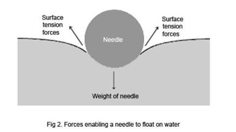 A diagram of the forces enabling a needle to float on water