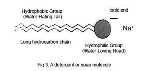A diagram of a detergent or soap molecule, which is responsible for breaking down surface tension