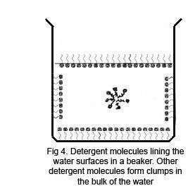 A diagram showing detergent molecules in a beaker of water, some lining the surfaces and other forming clumps