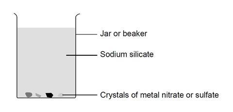 A diagram showing a glass beaker containing sodium silicate and crystals of metal salts