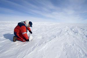 A scientist investigating an ice core