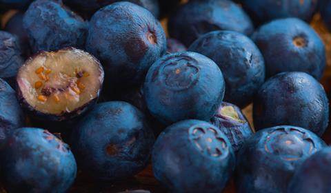 A close up of blueberries one has been cut open to show the yellow flesh under the blue skin
