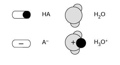 4 particle types