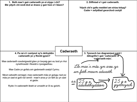 A four-panel grid about the meaning and root of the word, conservation, to help chemistry students learn scientific vocabulary