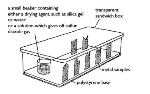 A diagram showing a plastic food container with a small beaker and samples of different metals