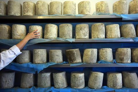 The weird science of cheese