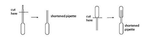 A diagram illustrating how to prepare a shortened pipette and cap