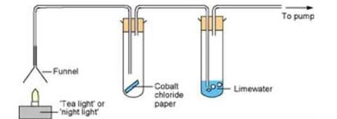 A diagram showing a tea light candle underneath a funnel connected to two test tubes for testing