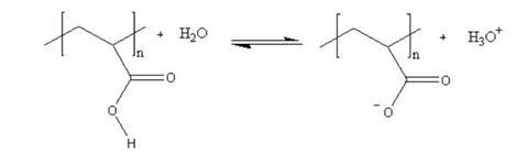 A diagram illustrating the polymer chain of a hydrogel and the changes that occur in the presence of water