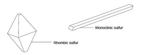 A diagram illustrating crystals of rhombic sulfur and needle-shaped crystals of monoclinic sulfur