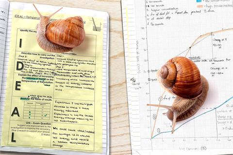 Snails crawling over science worksheets that have been completed by students