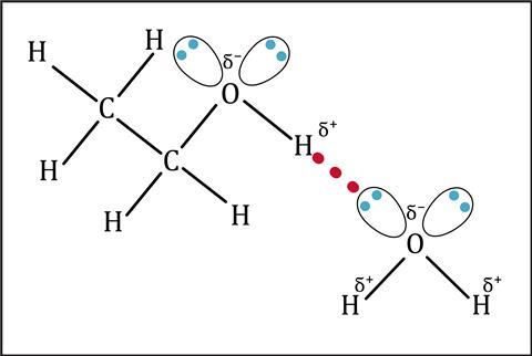 A diagram showing the hydrogen bond between ethanol and water molecules