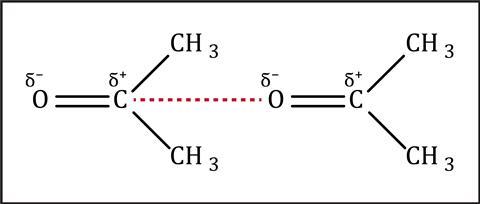 A diagram showing the attraction between two molecules of acetone - the slightly negatively charged oxygen is attracted to the slightly positively charged carbon