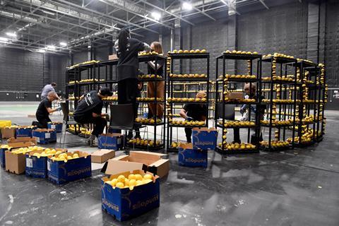 A team of people placing lots of lemons on shelves