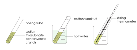 Diagram in student support and challenge