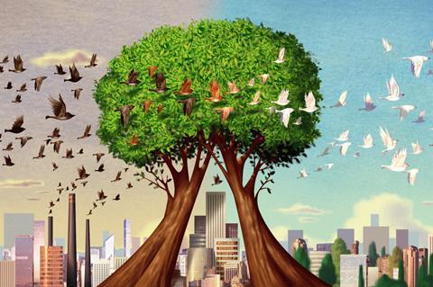 How do trees clean our air?, Feature