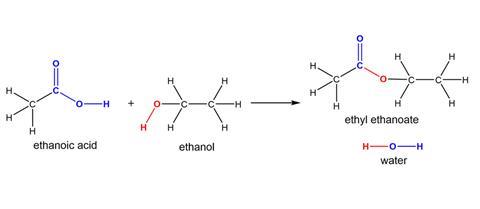 A diagram of the equation ethanoic acid + ethanol