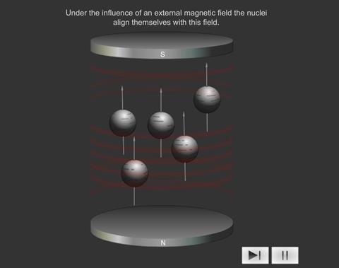 nuclear magnetic resonance