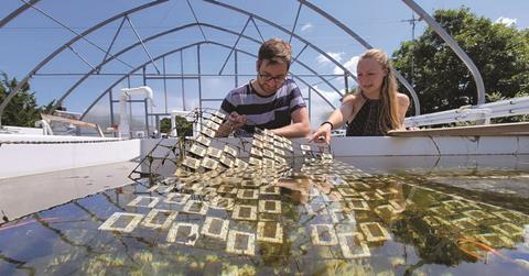 Two researchers examining plastic samples in and outdoor water tank
