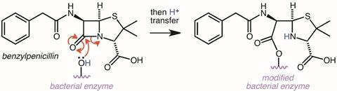 The ring-opening of the benzylpenicillin-lactam ring provides a real-life example of nucleophilic acyl substitution