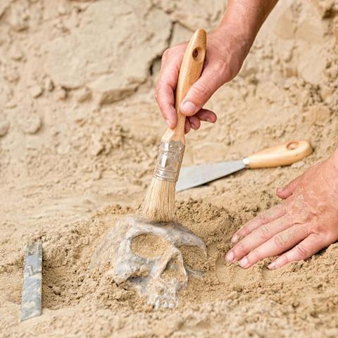 an archaeologist working on a site