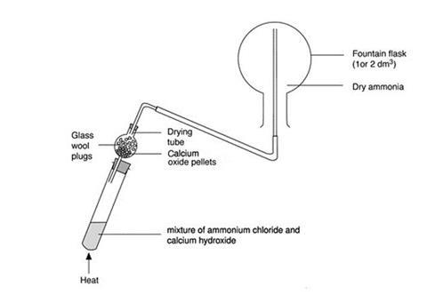 A diagram showing the equipment required for preparing dry ammonia