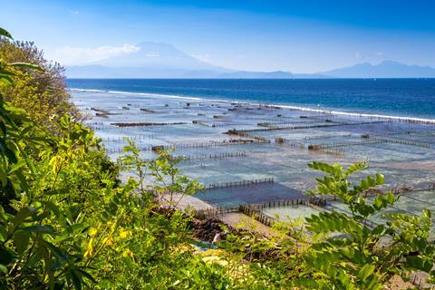 View of a coastal algae farm from inland