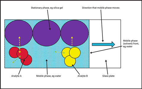 A diagram showing circles of chemicals during a chromatograph