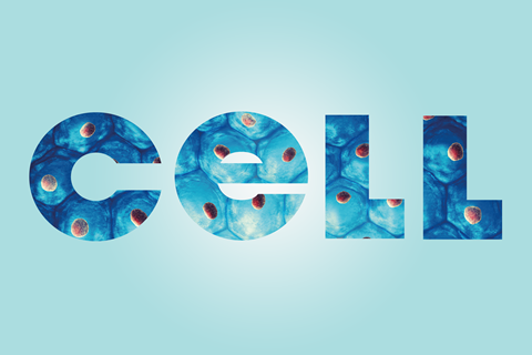 A pictogram showing the word, each letter filled with images of cells
