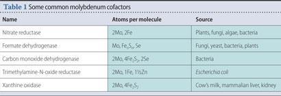 Table 1 - Some common molybdenum cofactors