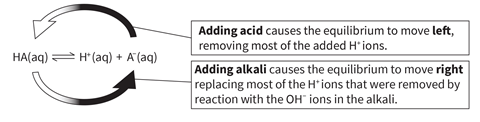 An equation showing the reversible reaction in a buffer solution