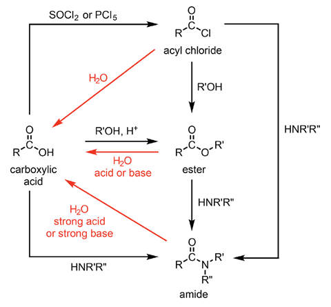 A diagram illustrating some common transformations involving carboxylic acid derivatives