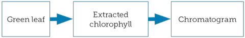 Synoptic approach - planning activity