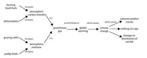 Flow diagram linking examples of human activity creating greenhouse gases on the left (burning fossil fuels, deforestation, grazing cattle), with the effects of climate change (extreme weather events, melting ice caps, changes to distribution of rainfall)