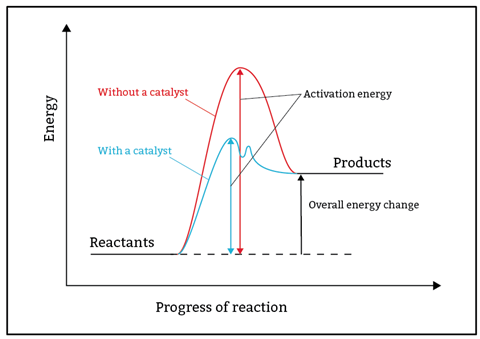 A reaction profile to compare the activation energy needed for reaction with a catalyst and for a reaction without a catalyst