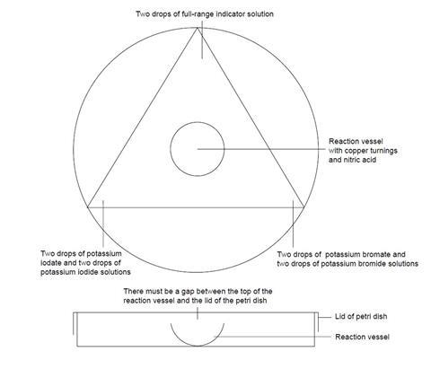 Petri dish diagram